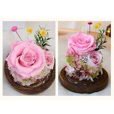 Amazon.co.jp: Glass Dome Rose Artificial Flower Eternal Flower Preservation  Stem Rose LED Night Decoration Gift for Women (Color : Blue) (Eternal ...