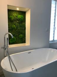Epingle Par Lydia Mullen Sur Plantes Mur Vegetal Vegetal Idee Salle De Bain