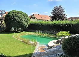 Naturpool Schwimmteich Mit Schattenbaum In 2020 Schwimmteich Natur Pool Teich