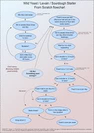 Wild Yeast Levain Sourdough Starter Flowchart The