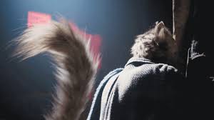 Cats hugging salt lamps might be the new zen thing to take away stress for humans and felines alike. The Fernanda Prates Guide To Fantasy Fights You Didn T Know You Wanted The Athletic