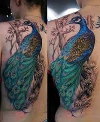 Majority of the peacock tattoos for women and men are large women would also find it great to place this type of tattoo on their sides and lower back region. What Does Peacock Tattoo Mean Represent Symbolism