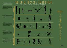 evolution of the alien infographic from prometheus to alien