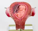 نزول ماء الجنين بكميات قليلة معلومات قد تهمك ويب طب