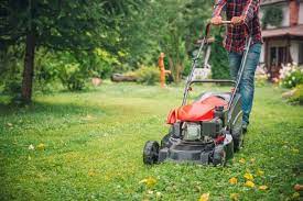 This latest battery technology provides a quiet operation and extended run time with rapid recharge and no power fade. Lawn Mower Shop The Best Deals On Electric Push And More Top Machines