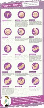 Pin On Pregnancy Awareness And Tips