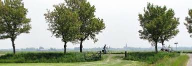 In het nationaal park en omgeving is het heerlijk om te fietsen: Goylant Per Fiets Noordroute Natuurwegwijzer