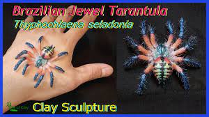 Brazilian jewel, tarantula, typhochlaena seladonia. Sculpting Brazilian Jewel Tarantula Typhochlaena Seladonia Polymer Clay Sculpture Lifeofclay Youtube