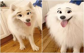 커다란 눈에 눈썹까지? 내 강아지를 디즈니 캐릭터로?