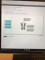 Drag The Labels Onto The Diagram To Identify The Various Chromosome  Structures - Atkinsjewelry