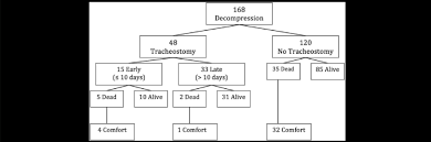 Flow Chart Showing The Number Of Patients Who Underwent