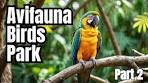 Discover the TOP Secrets of Avifauna Vogelpark in Just Minutes! - YouTube