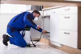 Want to know how to apply insecticides around your home yourself? Pest Control Services Archives Feriadellibrodesevilla