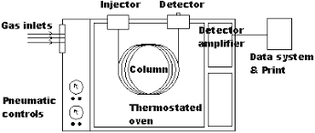 Experimental Design