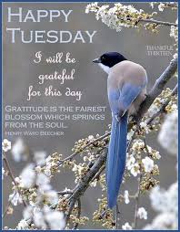 We did not find results for: Good Morning Motivational Quote Positive Tuesday Images Blessings Raja Quote