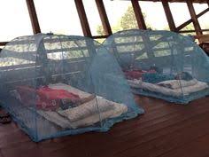 Kelambu moden (kelambu mudah / kelambu khemah) ni bila tidak digunakan boleh dilipat menjadi satu bulatan besar (alaa, macam uols lipat sunshade kereta tuu), dan disimpan dalam bag yg. 20 Katil Kelambu Ideas Home Outdoor Bed Diy Canopy