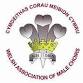 Treorchy Male Choir event image