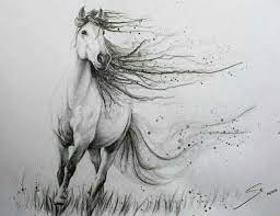 Pin On Pictures To Draw