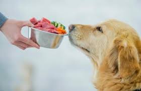 Maybe you would like to learn more about one of these? Tips For Making Home Cooked Dog Food Lovetoknow