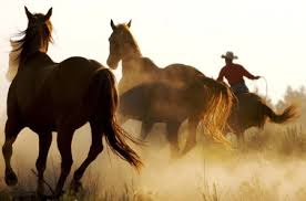 Here's a list of hd quality and background for your desktop and smartphones, one of the most stylish games of 2021. Cool Marlboro Country Horses Animals Background Wallpapers On Desktop Nexus Image 1172180