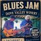 Blues Jam at Dove Valley