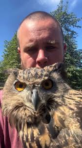 Knock Knock Owl Says