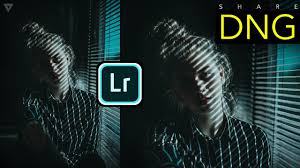 Una forma elegante de organizar tus fotografías. Lightroom Cc V3 3 Mod Fully Unlocked 4662 Presets Pre Installed Youtube