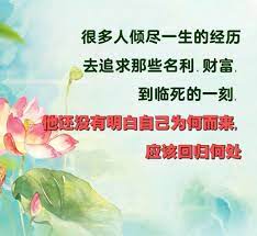 很多人倾尽一生的经历去追求那些名利 财富 到临死的一刻 他还没有明白自己为何而来 应该回归何处 life quotes quotes