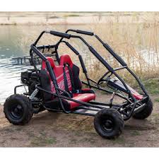 Go karts for sale in michigan. Murdoch S Coleman 200cc Youth 2 Seat Go Kart