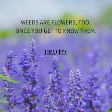 Have you ever watched winnie the pooh? The Best Winnie The Pooh Quotes About Life Friendship And Everything Else