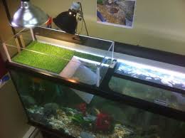 Diy Turtle Topper Turtle Dock Turtle Aquarium Turtle Tank
