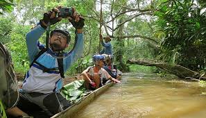 Ada banyak tempat wisata menarik yang bisa dikunjungi di kota semarang jawa tengah ini. Beauty Serang Regency Rawa Dano Rawa Terpanjang Di Kabupaten Serang