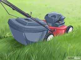 How To Take Care Of Your Lawn (With Pictures) - Wikihow