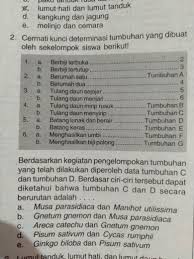Ciri tumbuhan dikotil oleh mas ale diposting pada november 20, 2020 pengertian tumbuhan dikotil tumbuhan dikotil ialah tumbuhan berbunga yang mempuunyai biji berkeping dua. Cermati Kunci Determinasi Tumbuhan Yang Dibuat Oleh Sekelompok Siswa Berikut Berdasarkan Kegiatan Brainly Co Id