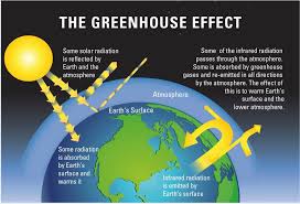 Earth's climate has changed over various timescales since the dawn of study the effect of increasing concentrations of carbon dioxide on earth's atmosphere and plant life. Climate Change Evidence And Causes Royal Society
