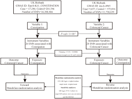 Image result for Constipation in Cancer
