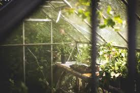 Check spelling or type a new query. Diy Greenhouse A Complete Guide To Make Your Own Mini Greenhouse Plants Spark Joy
