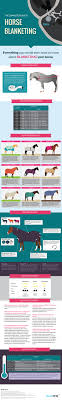 the complete guide to horse blanketing visual ly