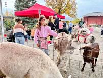 Fall Food Drive — The Mustard Seed Landscape and Garden Center