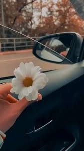 David Lojano (lojanodavid031)