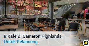 Tempat makan di cameron highland ini mempunyai banyak gazebo untuk pengunjung duduk dan makan bersama keluarga. 9 Kafe Menarik Di Cameron Highlands C Letsgoholiday My