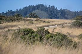 The facebook page for the government of santa cruz. Driving The Scenic Coast North Of Santa Cruz California Trucks Com