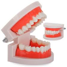 Image result for ochrana chrupu