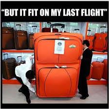 Airline Limousine - Perfect for those "can you pack me in your luggage?"  moments ? | Facebook