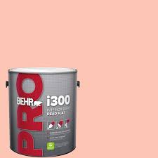 Salmon Peach Dead Flat Interior Paint