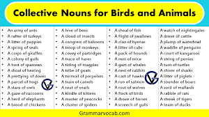 List Of Collective Nouns For Birds And Animals Grammarvocab
