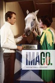 THE HORSE IN THE GRAY FLANNEL SUIT, Dean Jones, Diane Baker, 1968 Courtesy  Everett Collection