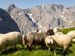 Die almhütte bairauhof kaser auf der loferer alm im salzburger saalachtal liegt ideal für einen familienurlaub, wanderurlaub, bikeurlaub oder skiurlaub und bietet 8 personen platz. Https Xn Bockhtte B6a De Die Alm
