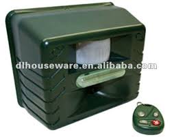 Resultado de imagem para bird scarer from china