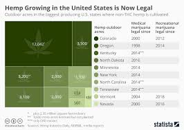 Chart Newly Legal Hemp Growing Industry Expected To